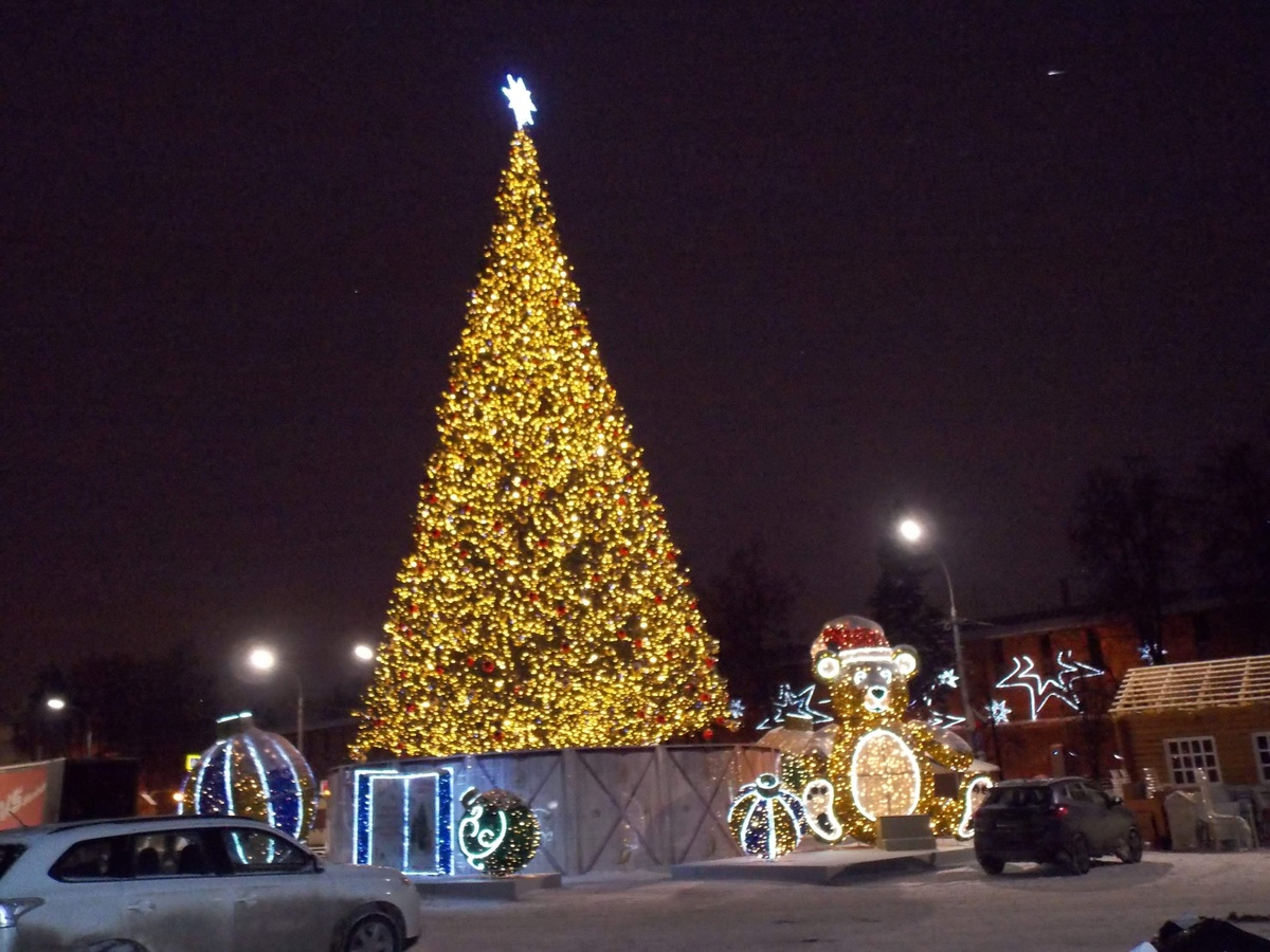 Новогодние елки за 560 тысяч рублей закупят для нижегородских парков
